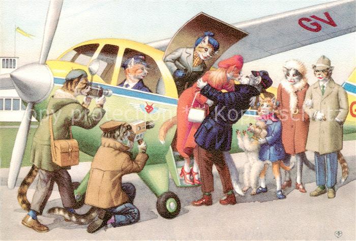 Vermenschlicht Katzen Flugzeug