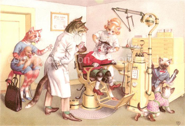 Vermenschlicht Katzen Zahnarzt