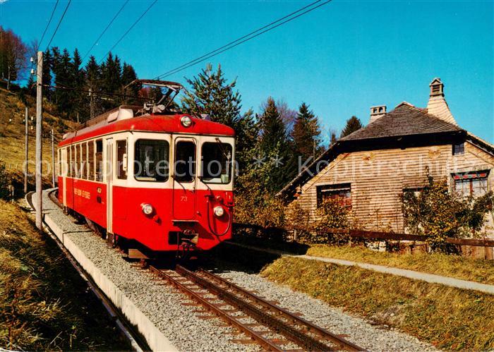 Zahnradbahn Rack Railway-- Train Vevey-St-Legier-Les Pleiades