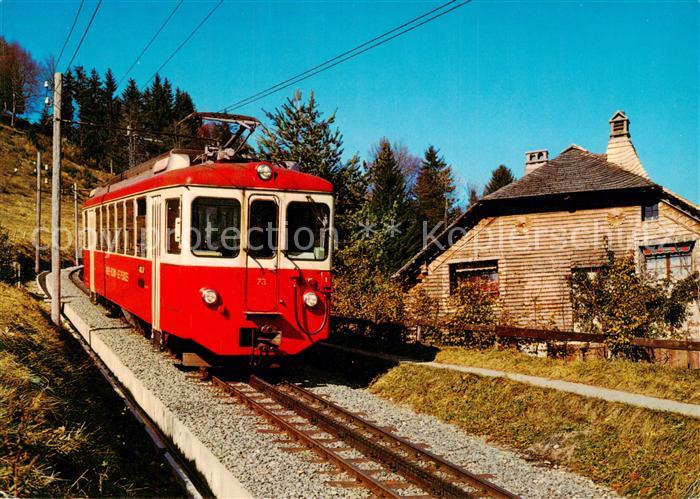 Zahnradbahn Rack Railway-- Vevey-St-Legier-Blonay-Les Pleiades