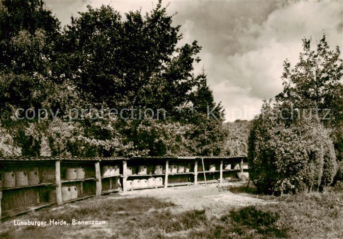 Imkerei Bienenzucht Apiculture Beekeepin Lüneburger Heide