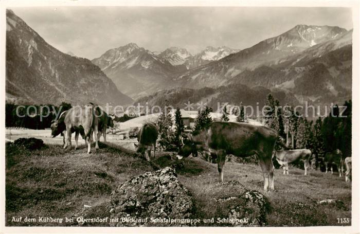 Oberstdorf Kuehberg mit Blick auf Schafalpengruppe und Schlappold