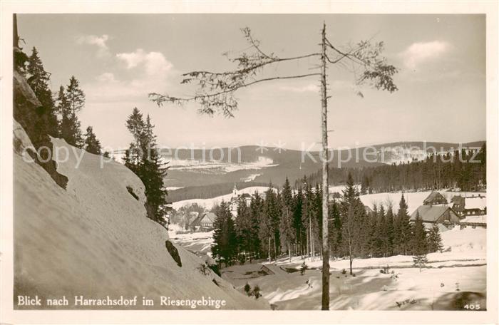 Harrachsdorf Harrachov CZ Panorama Hotel Erlebach