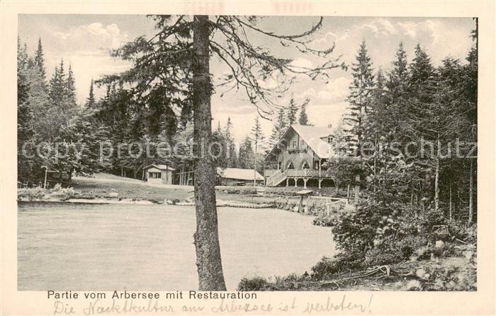 Arbersee Bayerisch Eisenstein Seepartie mit Restauration