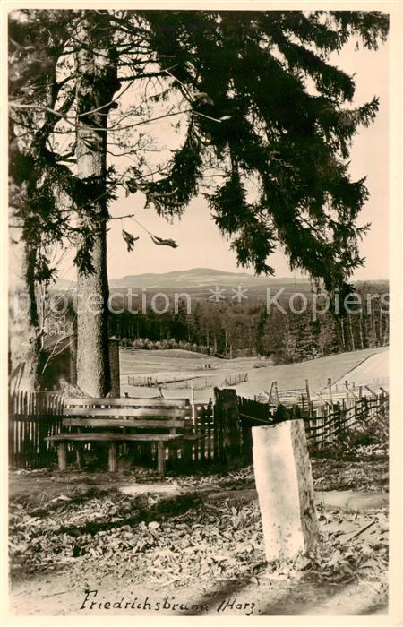 Friedrichsbrunn Harz Panorama
