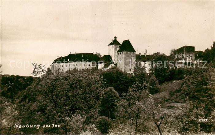 Neuburg Inn Schloss