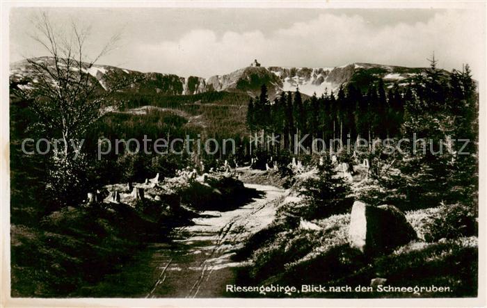Riesengebirge Krkonose Karkonosze Blick zu den Schneegruben