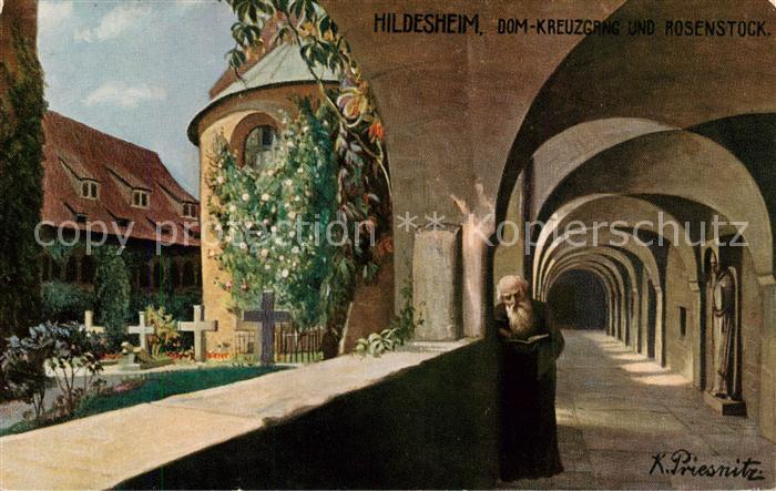 HILDESHEIM  CITY Dom Kreuzgang und Rosenstock