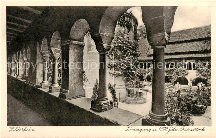 HILDESHEIM  CITY Kreuzgang und 1000jaehriger Rosenstock