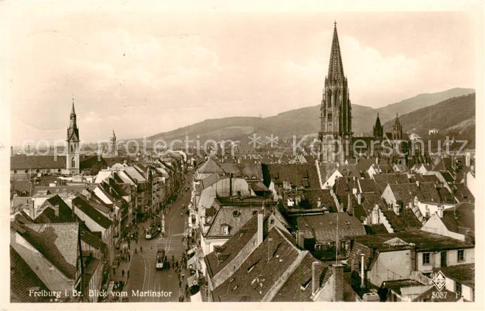 Freiburg Breisgau Panorama mit Muenster