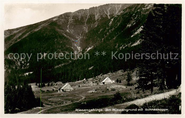 Schneekoppe Snezka CZ Im Riesengrund