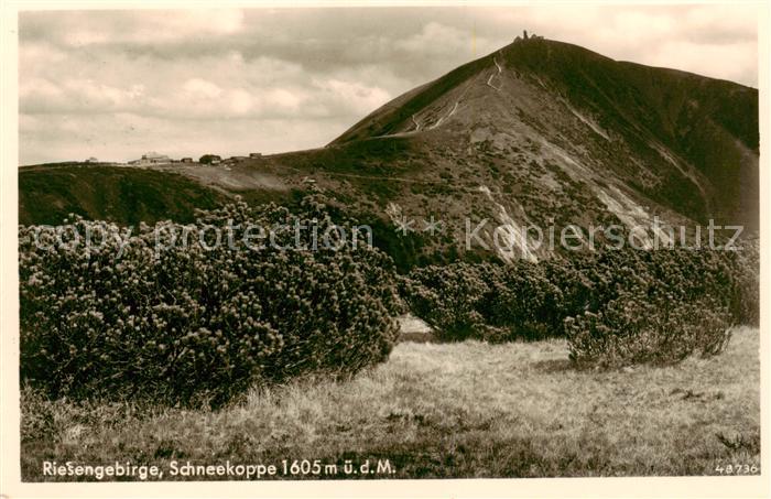 Schneekoppe Snezka CZ Panorama