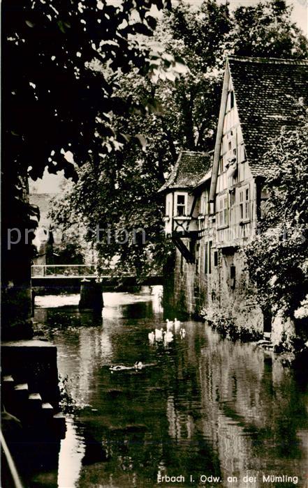 Erbach Odenwald Partie an der Muemling