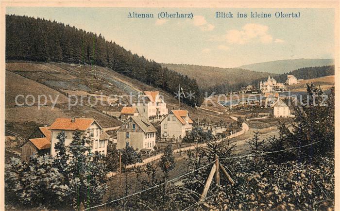 Altenau Harz Panorama Blick ins kleine Okertal
