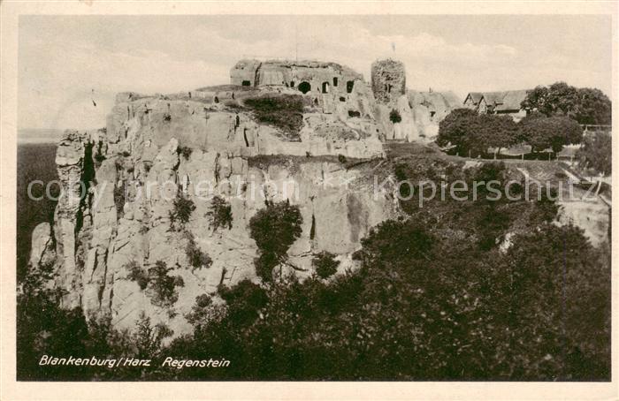 Blankenburg Harz Burgruine Regenstein