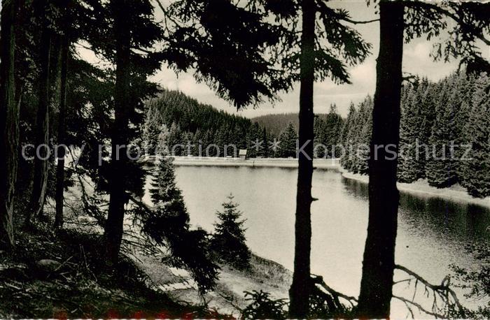 Altenau Harz Huettenteich