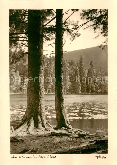 Arbersee Bayerisch Eisenstein Panorama
