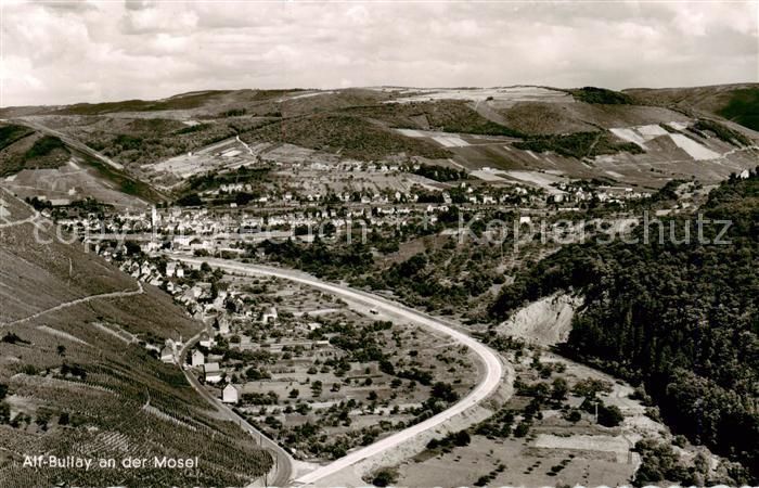 Alf Bullay Mosel Fliegeraufnahme