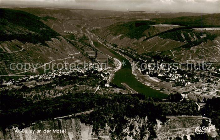 Alf Bullay Mosel Fliegeraufnahme