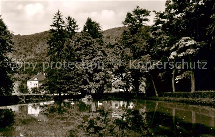 Bad Bertrich Schwanenteich