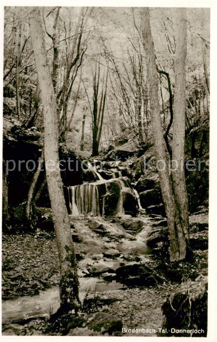 Brodenbach Mosel Donnerloch