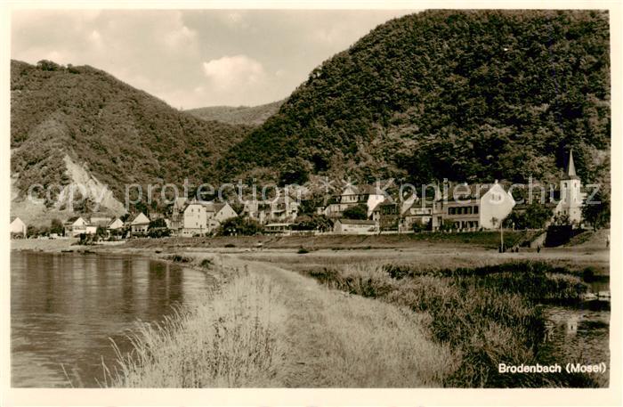 Brodenbach Mosel Panorama