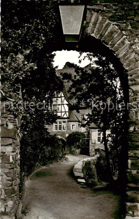 Alf Bullay Mosel Burg Arras