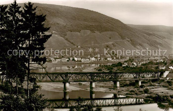 Alf Bullay Mosel Panorama