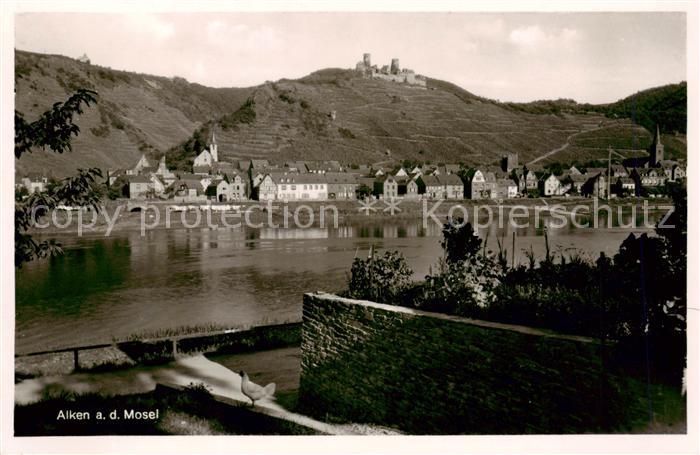 Alken Mosel Burg Thurandt