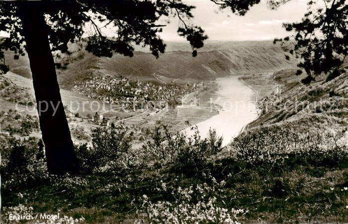 Enkirch Mosel Panorama