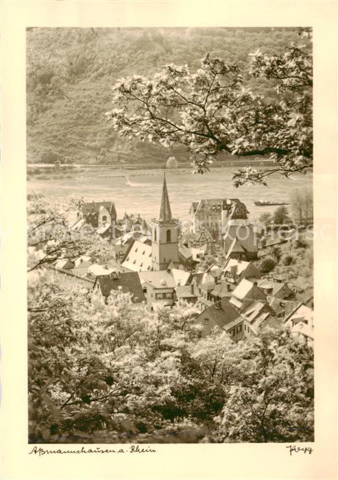 Assmannshausen Rhein Panorama
