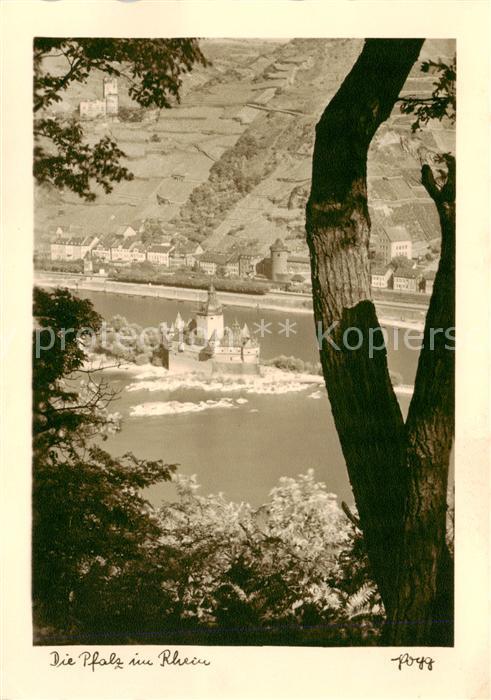 Kaub Caub Rhein Die Pfalz