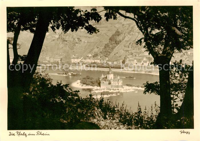 Kaub Caub Rhein Die Pfalz