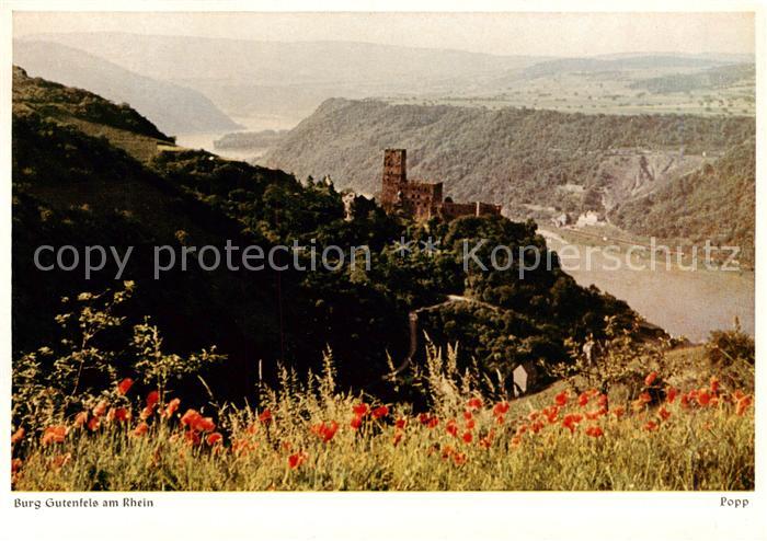 Kaub Caub Rhein Burg Gutenfels