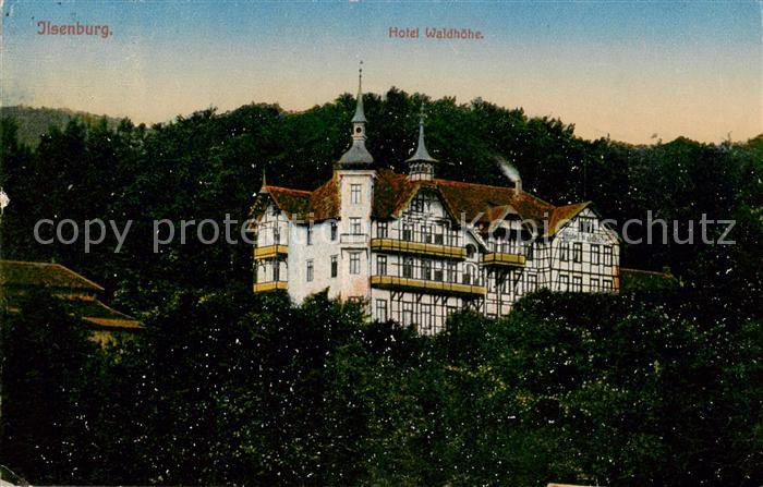 Ilsenburg Harz Hotel Waldhoehe