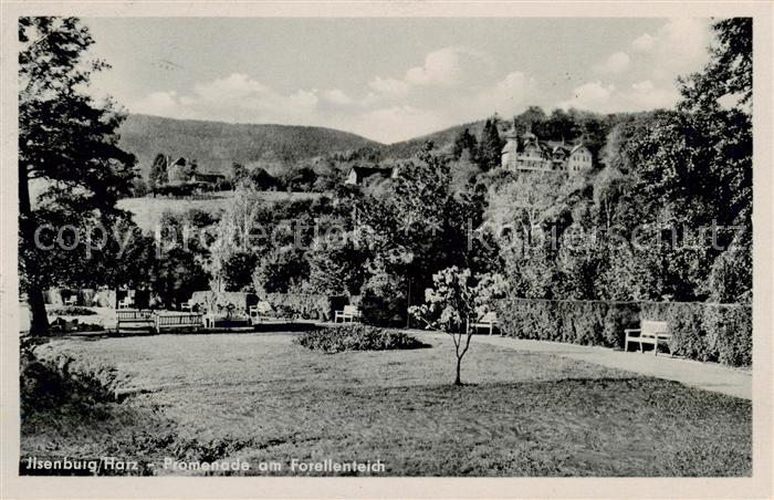 Ilsenburg Harz Promenade am Forellenteich