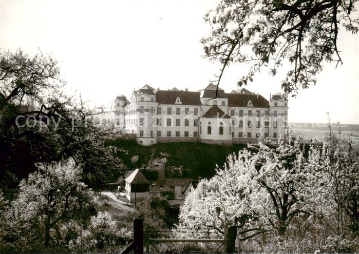 Tettnang Schloss Baumbluete