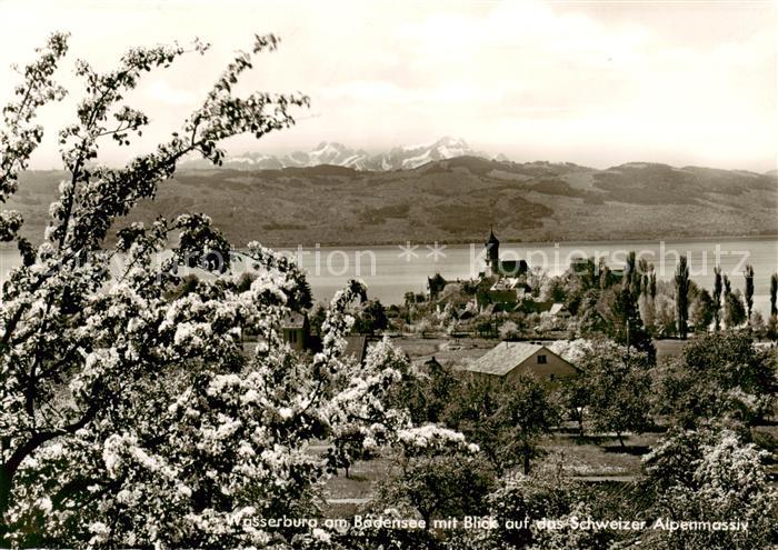 Wasserburg Bodensee Panorama mit Schweizer Alpenmassiv