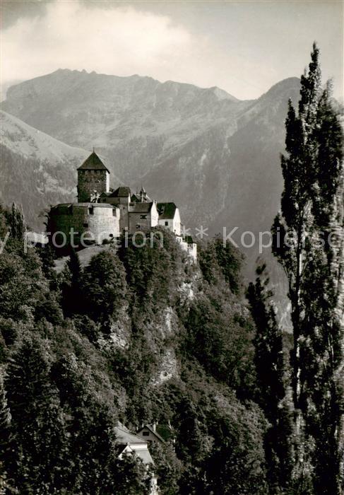 Liechtenstein Fuerstentum Schloss Vaduz
