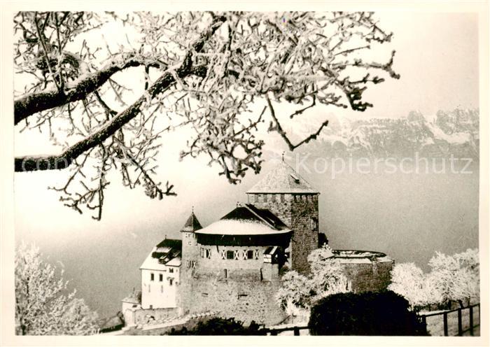 Liechtenstein Fuerstentum Schloss Vaduz