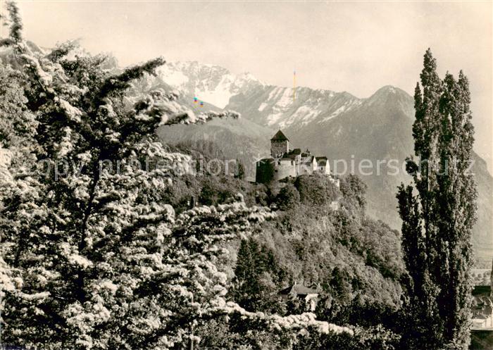 Liechtenstein Fuerstentum Schloss Vaduz