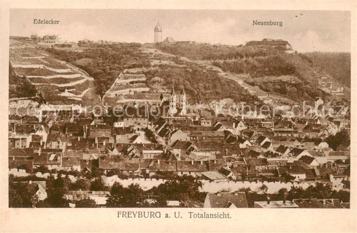 Freyburg Unstrut Panorama mit Edelacker und Neuenburg