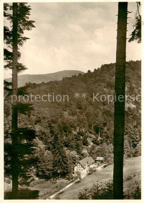 BADENWEILER BW Landschaftspanorama Schwarzwald Gasthof Bergmannsruh