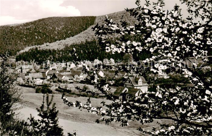 Ziegenhagen Witzenhausen Panorama