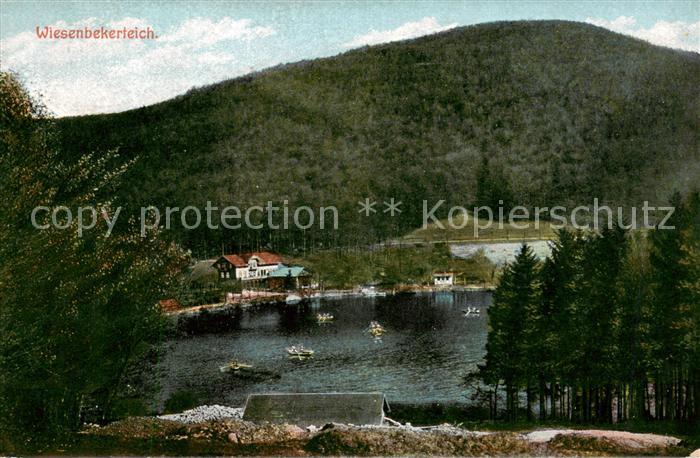 Wiesenbecker-See Wiesenbecker-Teich Bad Lauterberg Panorama