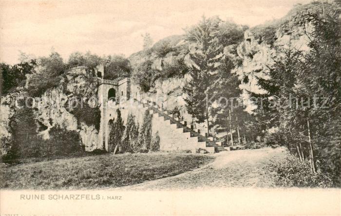 Scharzfeld Herzberg am Harz Ruine Scharzfels