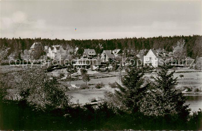 Hahnenklee-Bockswiese Harz Blick auf die Bastei