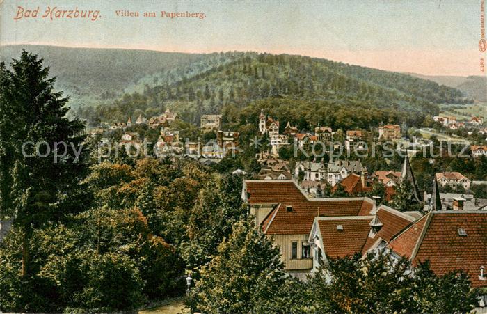 Bad Harzburg Villen am Papenberg