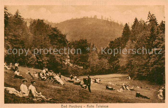 Bad Harzburg Kalte Talwiese