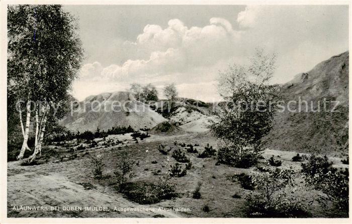 Dueben Bad Mulde Alaunwerk Ausgewaschene Alaunhalden